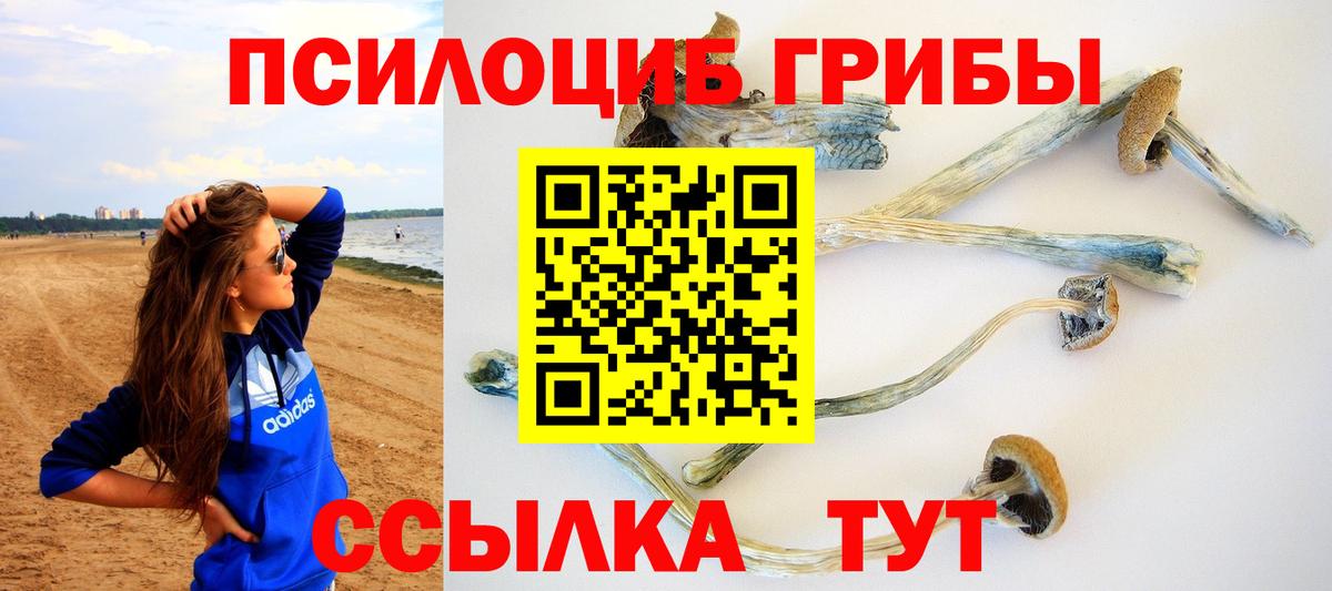 Галлюциногенные грибы ЛСД Черкесск